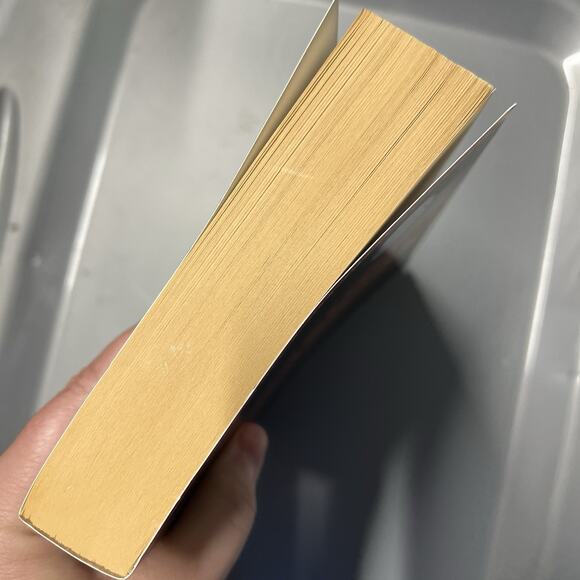 Left Behind Series Paperback Book 10 Remnant by Tim LaHaye and Jerry B Jenkins - Picture 5 of 7